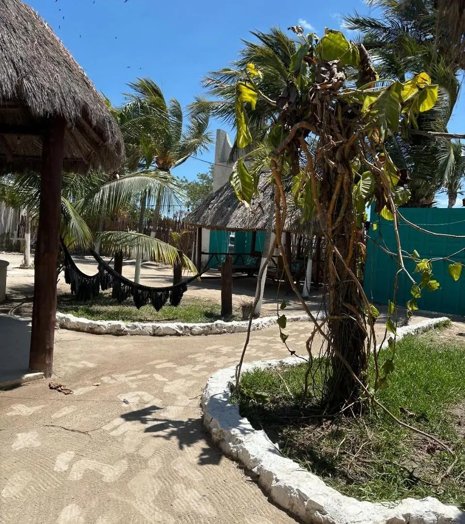Mayan Mittoz Isla Holbox